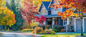 Professional Plant Installation Company