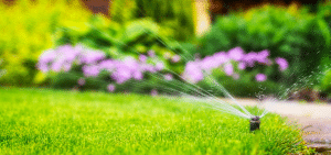 Irrigation System Types Explained