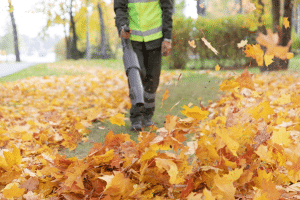 Landscape Maintenance in N.W. Washington D.C.