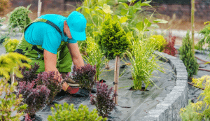 N.W. Washington D.C. Landscaping Cost Guide 