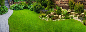 Dream Outdoor Space