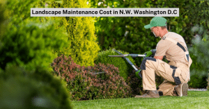 Landscape Maintenance in N.W. Washington D.C.