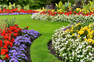 N.W. Washington D.C. Landscaping Cost Guide 