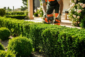 Landscape Maintenance in N.W. Washington D.C.
